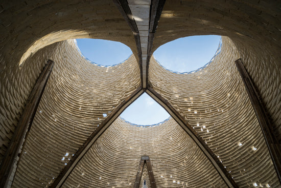 Celebrating 10 Years of Innovation: A Decade of Mycelium Creations with Grow.bio