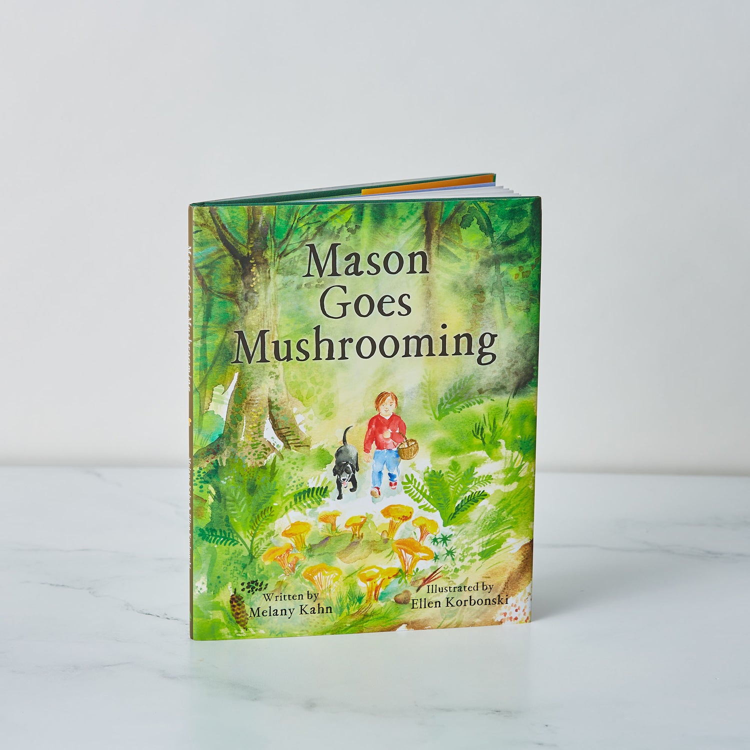 Mason Goes Mushrooming Book