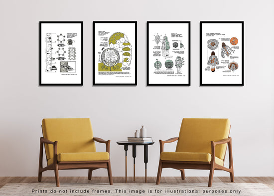 Corvidopolis x Ecovative Prints