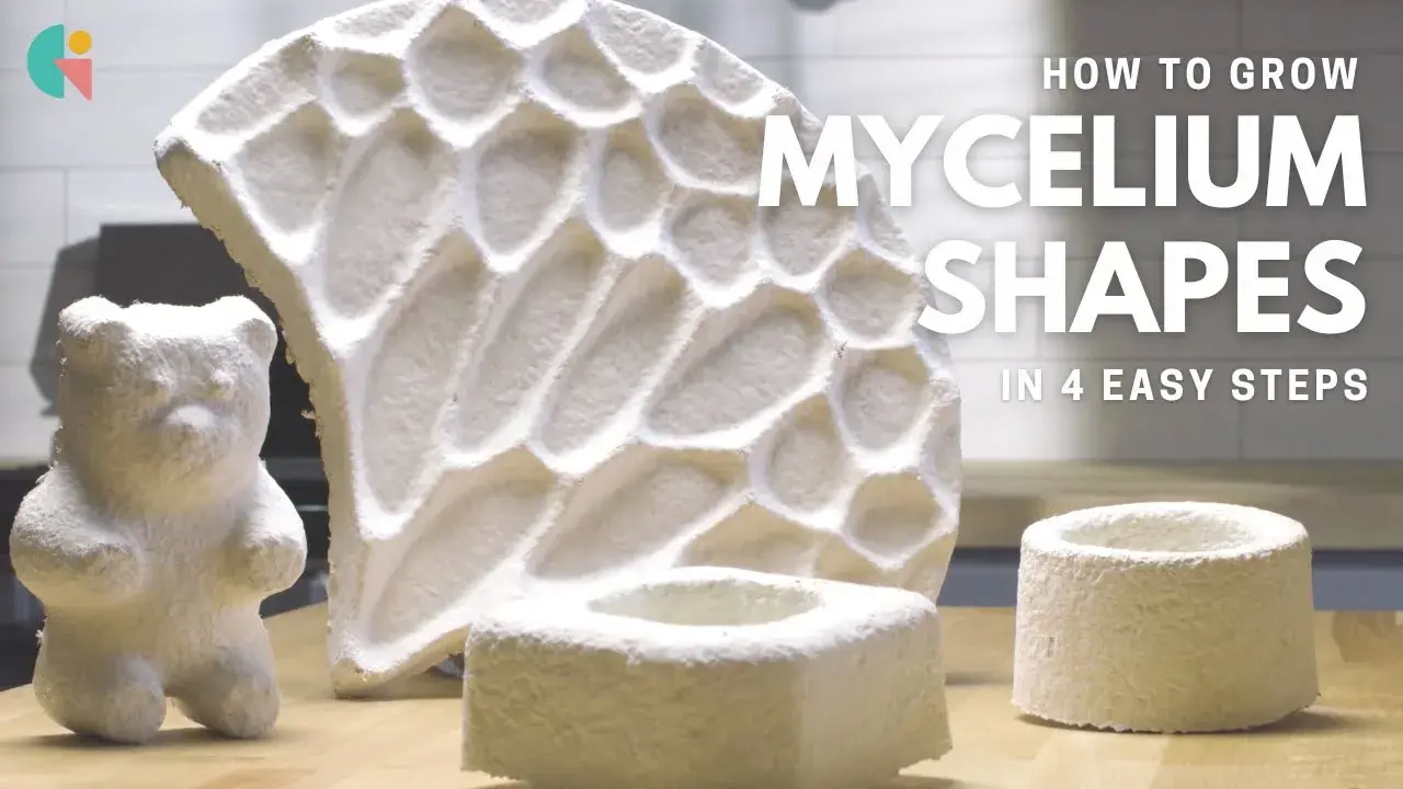 Load video: GIY Material Instructions - Grow Mycelium Shapes In 4 Easy Steps