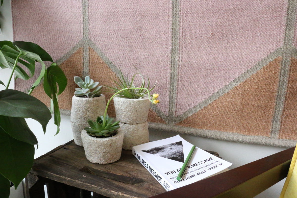 Grow It Yourself Glossary - Terms for GIY Mycelium – Grow.bio