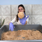 Mycelium Sculpting Bundle