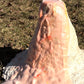 Mycelium Sculpting Bundle