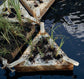Dehydrated Mycelium Material